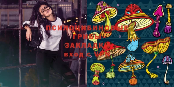 таблы Осинники